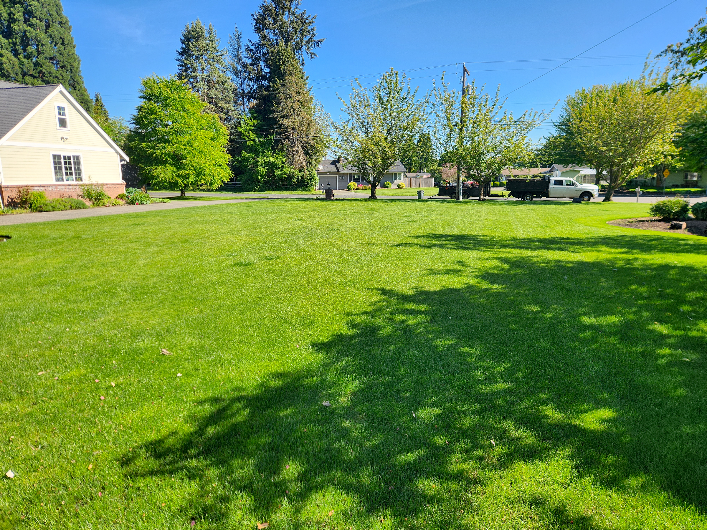 A sunny day in a suburban neighborhood with a well-maintained green lawn, trees, and a few vehicles parked on the street. A house is visible on the left side, where you can spot a landscaper diligently doing yardwork to keep everything pristine.